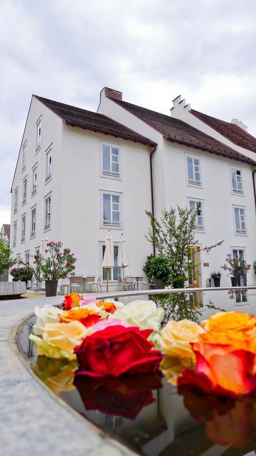 Hotel Castle Garden Binningen Bekvemmeligheter bilde
