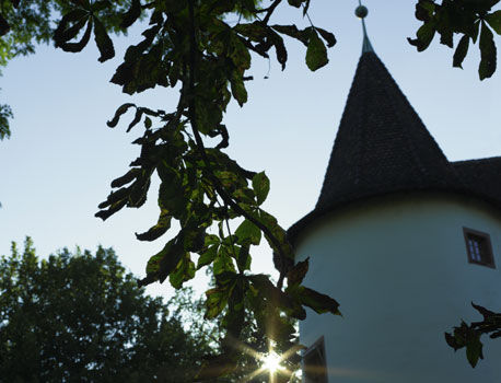 Hotel Castle Garden Binningen Eksteriør bilde